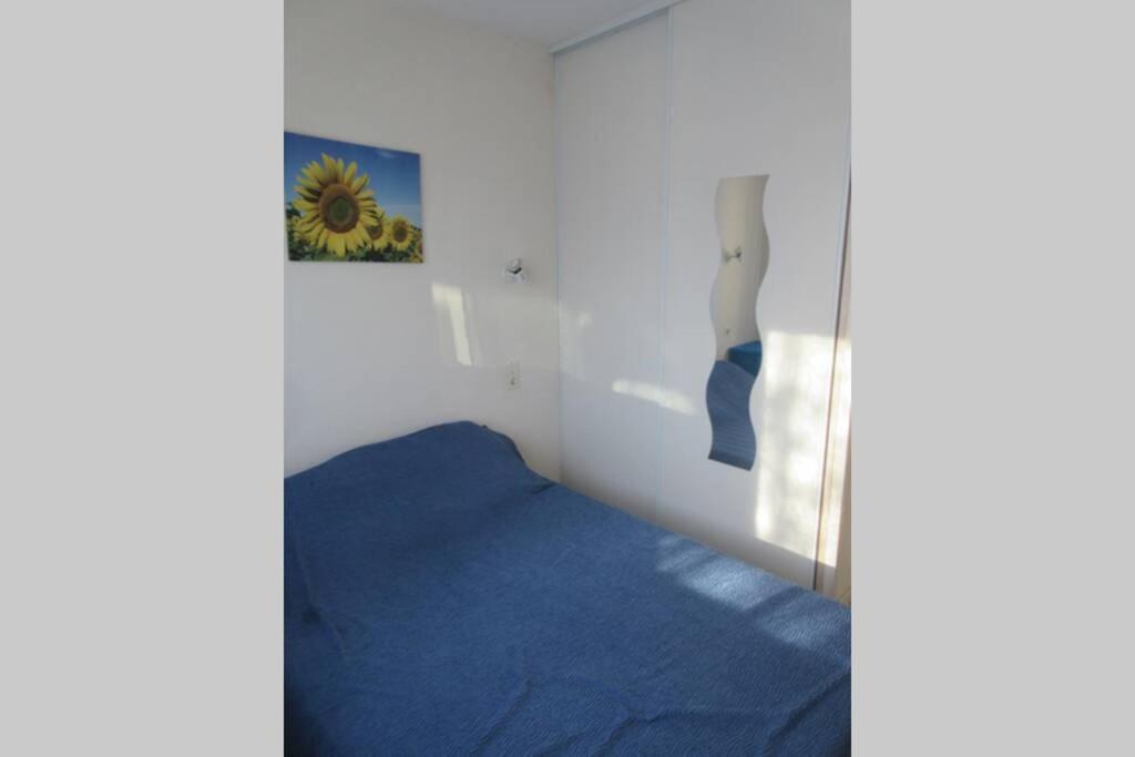 Apt Climatise T3 Saint Pierre La Mer, Terrasse, Jardin Et Parking Prive Fleury  Exterior photo